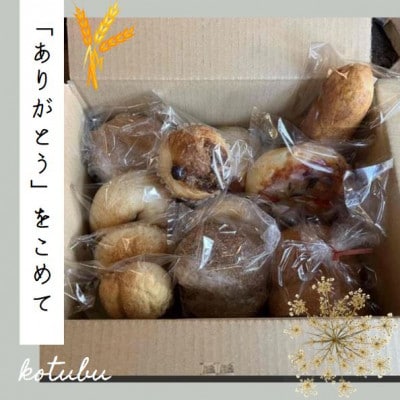 【10個入り】パン屋kotubuの自然の恵みのパンセット(小)【配送不可地域：離島】【1352129】