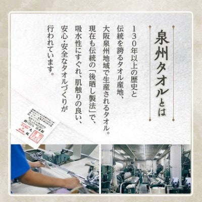 縲舌帙ユ繝ォ繧ソ繧、繝励代Ρ繧、繝峨ヰ繧ケ繧ソ繧ェ繝ォ 3譫 繝悶Ν繝シ繧ー繝ャ繝シ 020C391縲1725430縲