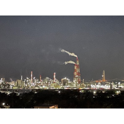 ルートイン大阪高石-羽衣駅前-　高層階限定　コンフォートツインルーム1泊2名様宿泊【1701735】