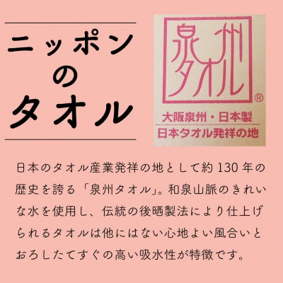 グリーンクラブ泉州透かし織トワイライトボーダータオル 計10枚【1663421】