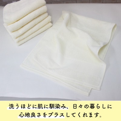 ã¶ã»æ³å·ã¿ãªã«ããã¢ã€ããªãŒã1659175ã