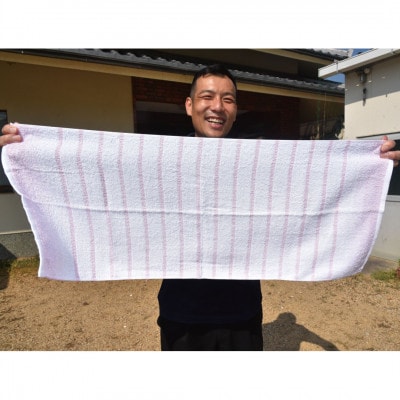 グリーンクラブ泉州透かし織トワイライトボーダータオル 計10枚【1663421】