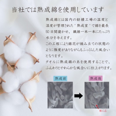 泉州タオル「普段使いにぴったりのミニバスタオル」5枚セット(グレージュ) 099H751【1536875】