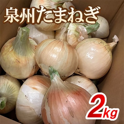 《無選別約2kg|数量限定》泉州たまねぎ　栽培期間中除草剤・殺菌剤不使用【1734819】
