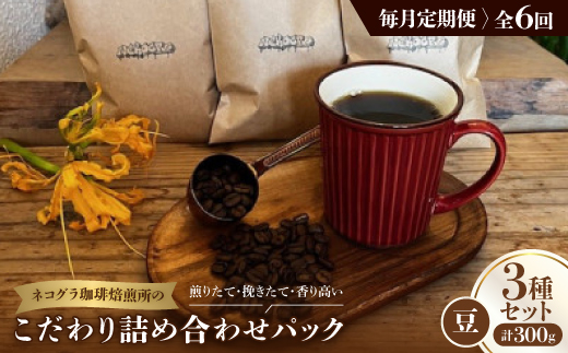 【毎月定期便】《豆3種計300g》ネコグラ珈琲焙煎所の煎りたて挽きたてコーヒーセット全6回【4064361】