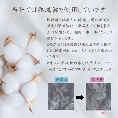 泉州タオル「普段使いにぴったりのミニバスタオル」5枚セット 099H736【1511785】