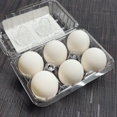 ã2çš®èš27åããã ããæž©æ³åµé£ã¹æ¯ã¹ã»ããããšãããããŸgoo&湯ãããããŸããé
éäžå¯å°åïŒé¢å³¶ãã1702152ã