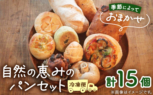 【15個入り】パン屋kotubuの自然の恵みのパンセット(大)【配送不可地域：離島】【1352138】