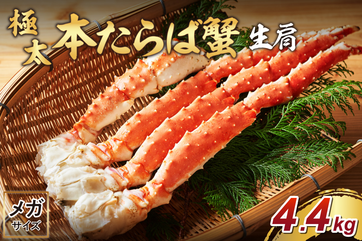 【2肩約4.4kgの10Lサイズ】一番人気！ 本たらば蟹 生肩 約4.4kg 目視選別【087A-007】