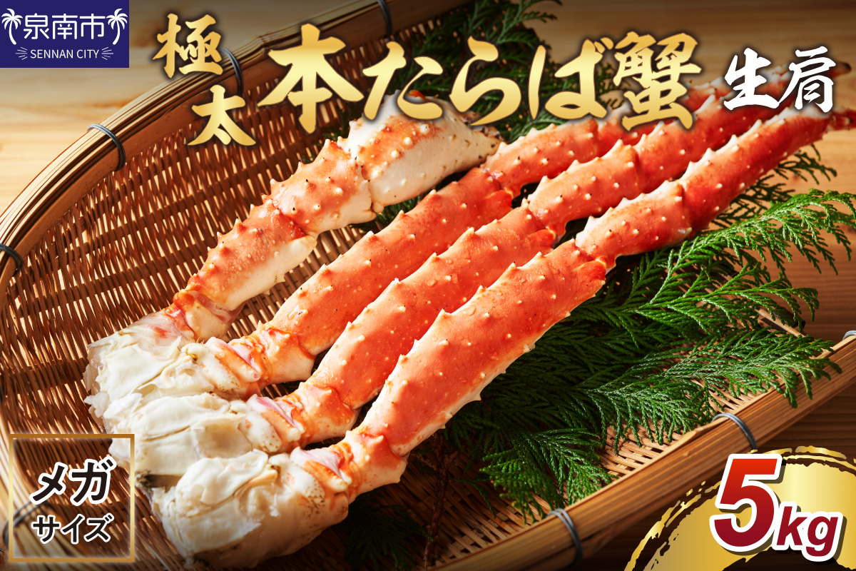 【2肩約5kgの超極太10L以上メガサイズ】一番人気！ 本たらば蟹 生肩 約5kg 目視選別【087A-007】