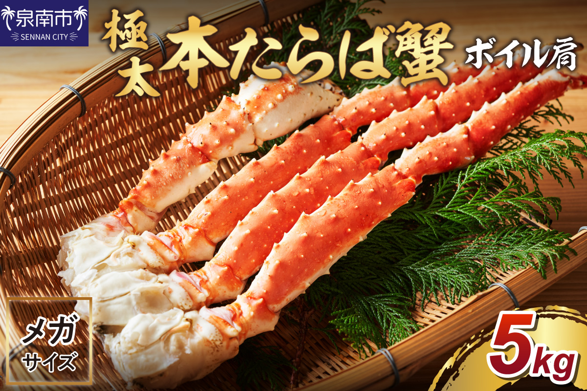 【2肩約5kgの超極太10L以上メガサイズ】本たらば蟹 ボイル肩 約5kg 目視選別【087A-008】