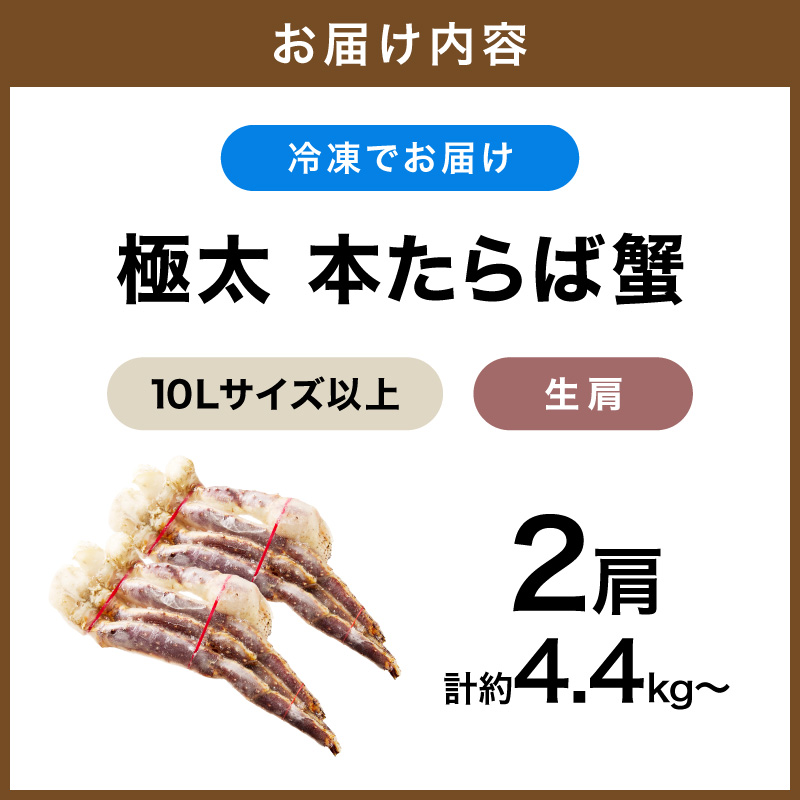 【2肩約4.4kgの10Lサイズ以上】一番人気！ 本たらば蟹 生肩 約4.4kg～ 目視選別【087A-007】