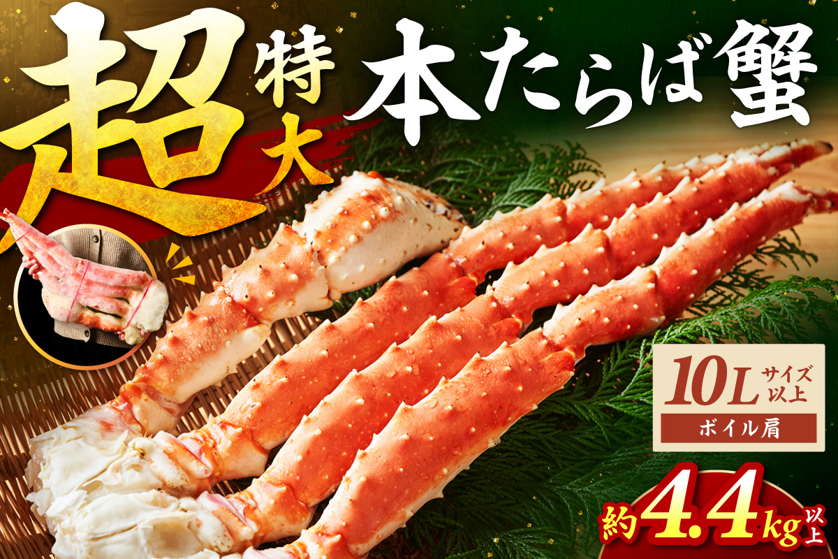 【2肩約4.4kgの超極太10Lサイズ以上】本たらば蟹 ボイル肩 約4.4kg～ 目視選別【087A-008】