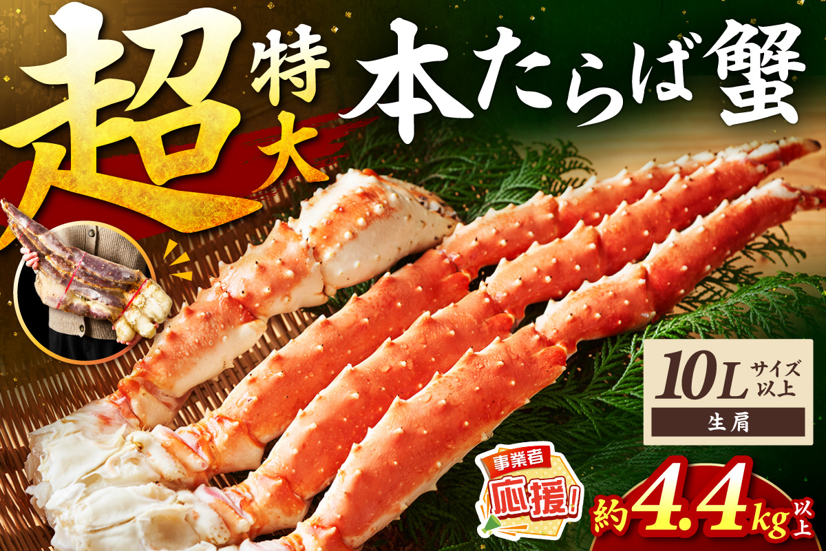 【2肩4.4kg以上の超極太10L以上メガサイズ】一番人気！ 本たらば蟹 生肩 約4.4kg以上【ふるさと納税3.0】【087A-014】