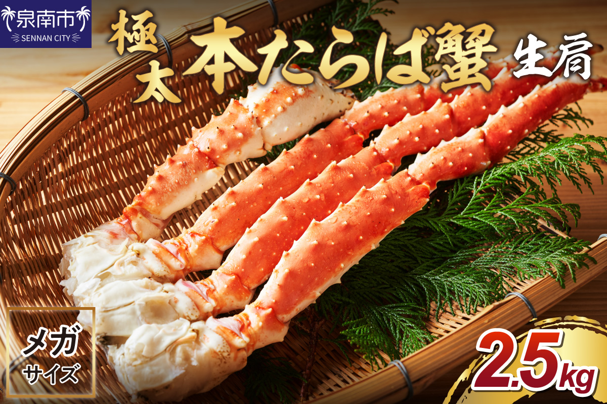 【1肩約2.5kgの超極太10L以上メガサイズ】本たらば蟹 生肩 約2.5kg 目視選別【087B-048】