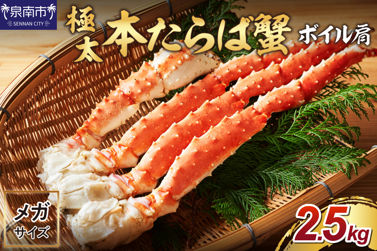 【1肩約2.5kgの超極太10L以上メガサイズ】本たらば蟹 ボイル肩 約2.5kg 目視選別【087B-049】