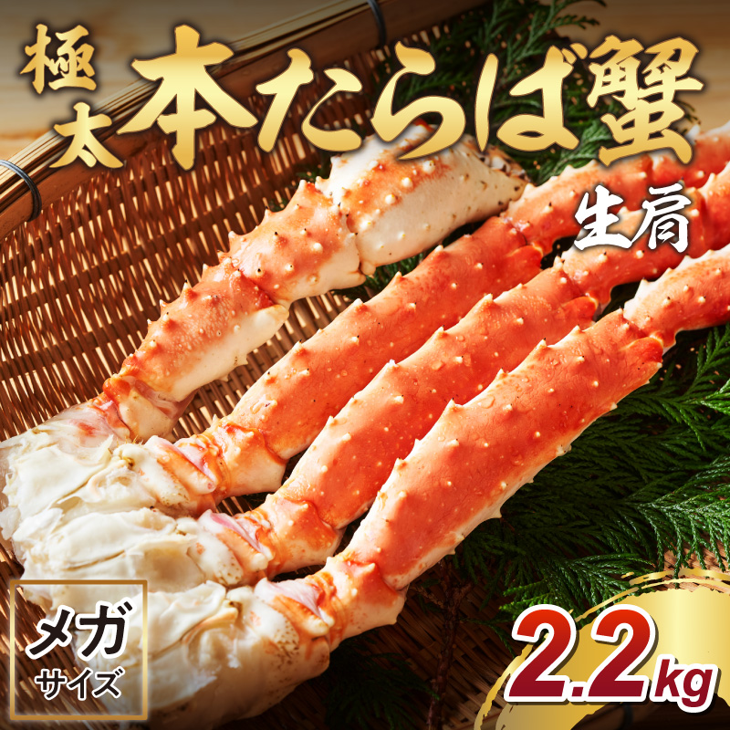 【1肩約2.2kgの10Lサイズ】本たらば蟹 生肩 約2.2kg 目視選別【087B-048】