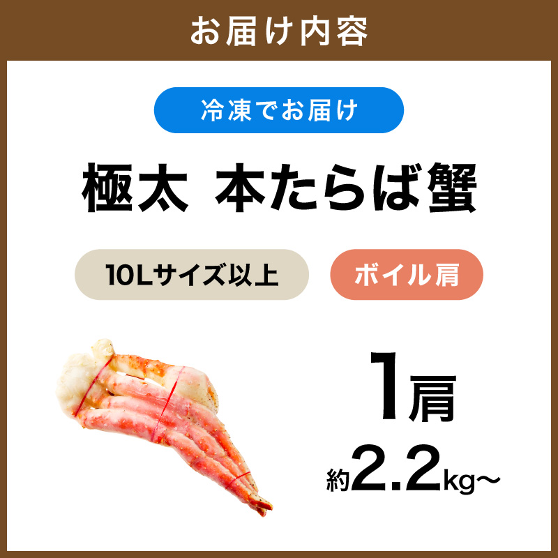 【1肩約2.2kgの超極太10Lサイズ以上】本たらば蟹 ボイル肩 約2.2kg～ 目視選別【087B-049】