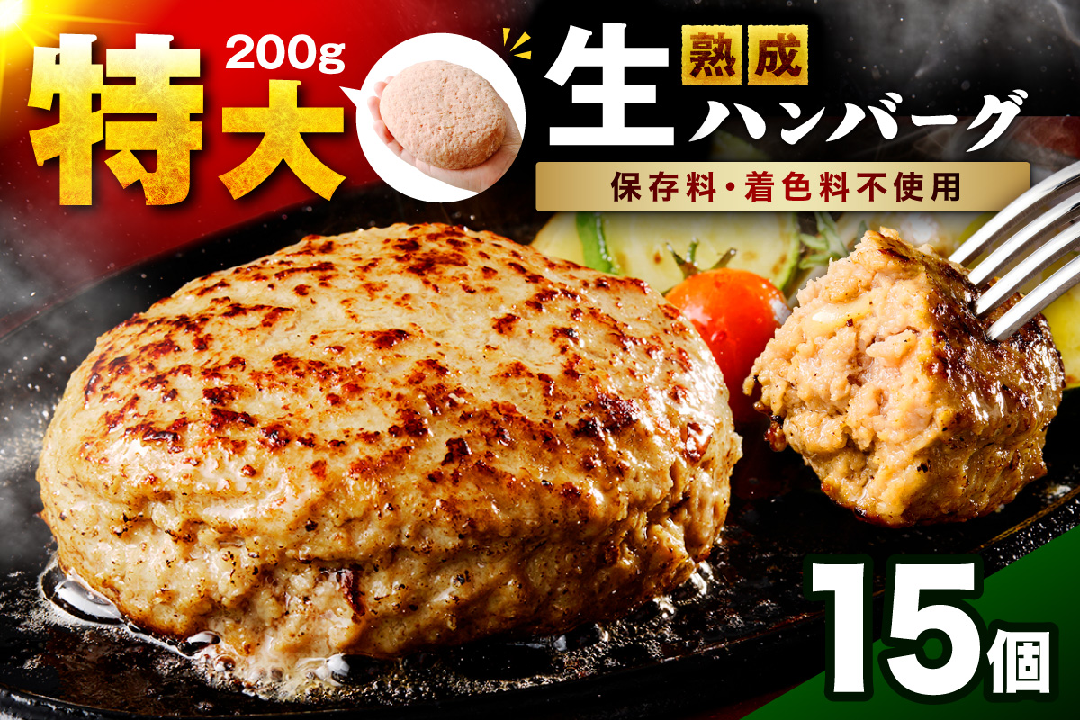 【無添加】食べ応え抜群！ 生ハンバーグ 200g 15個【087C-011】