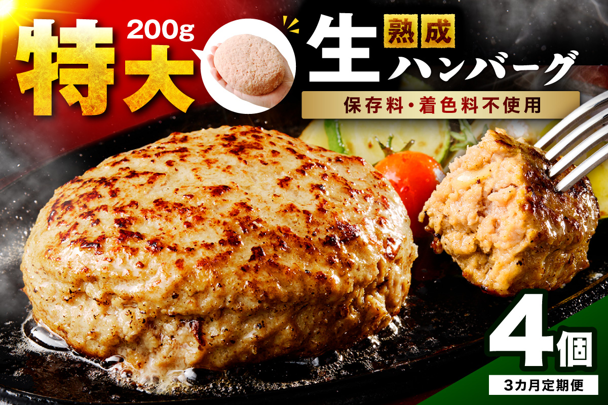 【無添加】食べ応え抜群！ 生ハンバーグ 200g 4個 3ヶ月定期便【087C-012】
