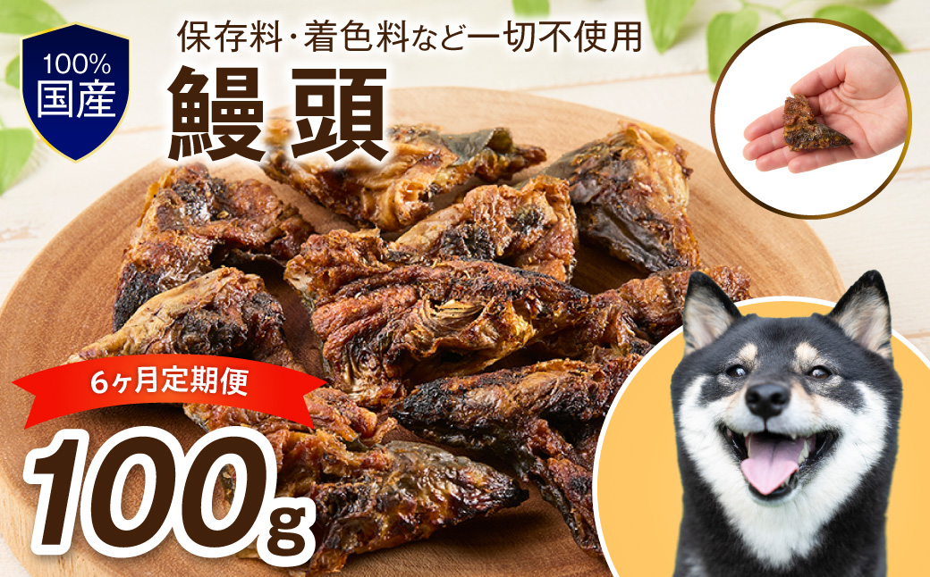 ペットフード研究所 鰻頭 毎月100g×6回定期便 最初の月+100g【087C-123】