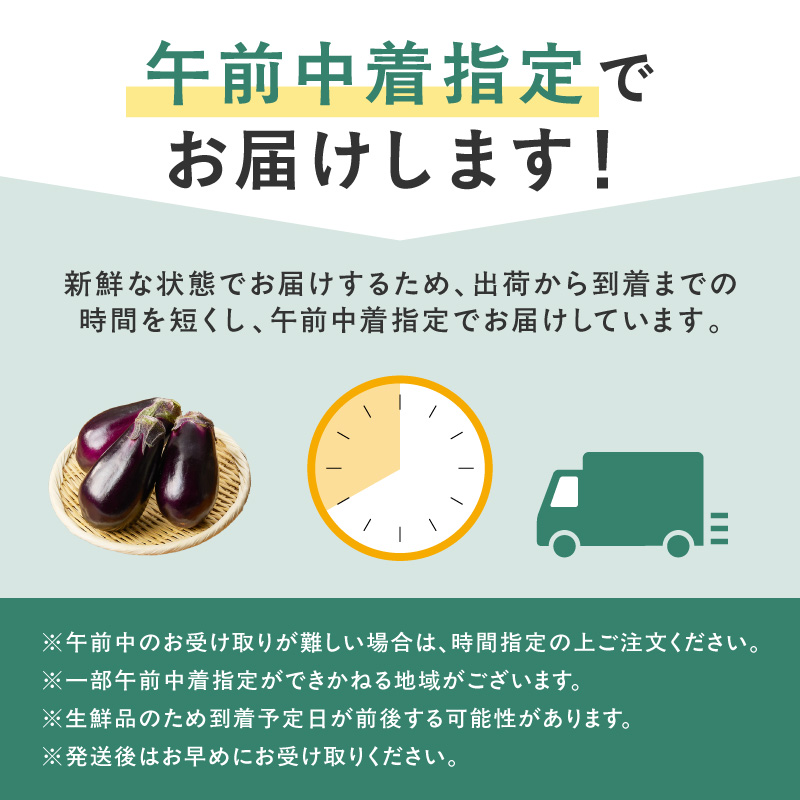 まるやま農園 泉州水なす ぬか漬け 4個入 3ヶ月定期便【087C-013】