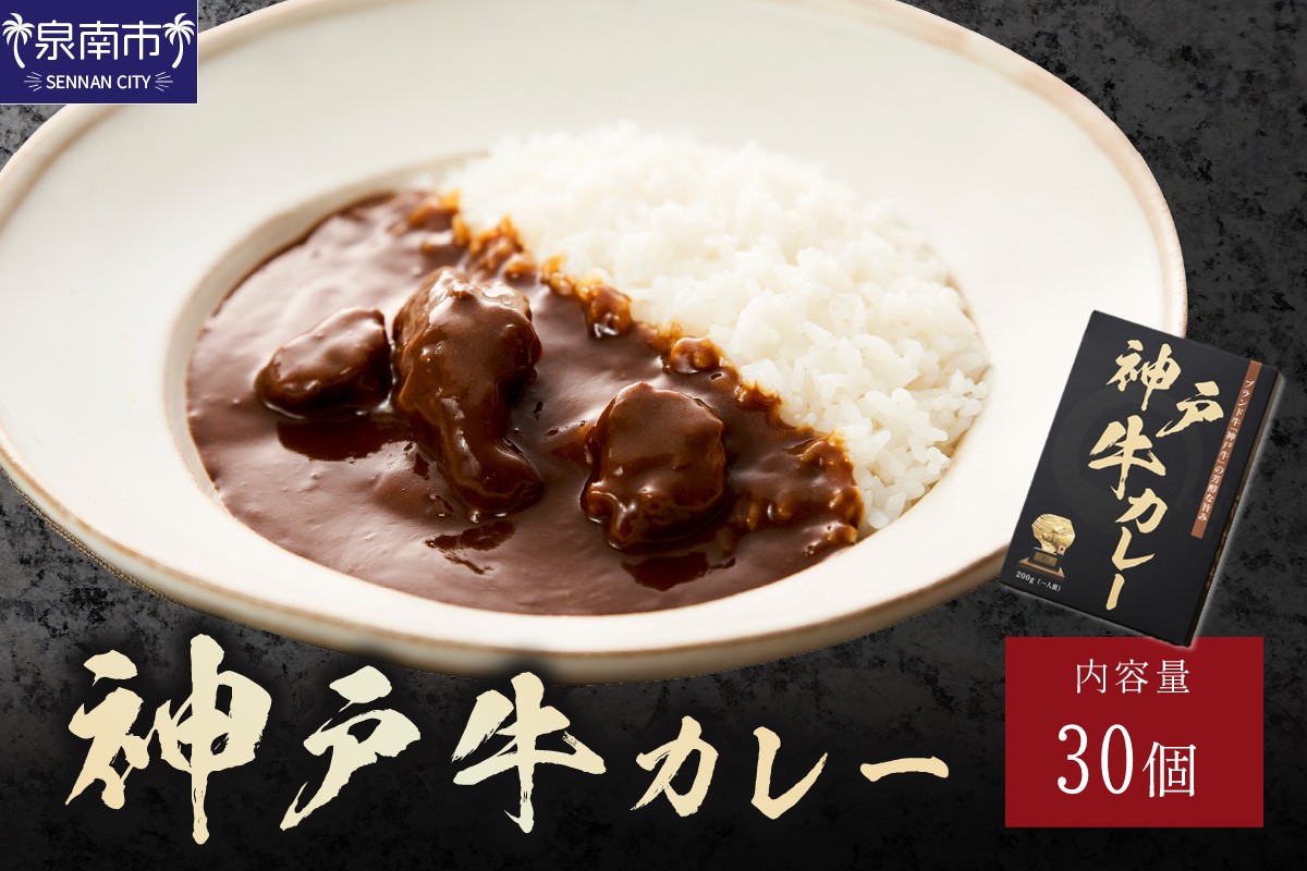 神戸牛カレー200g×30個セット【108A-005】