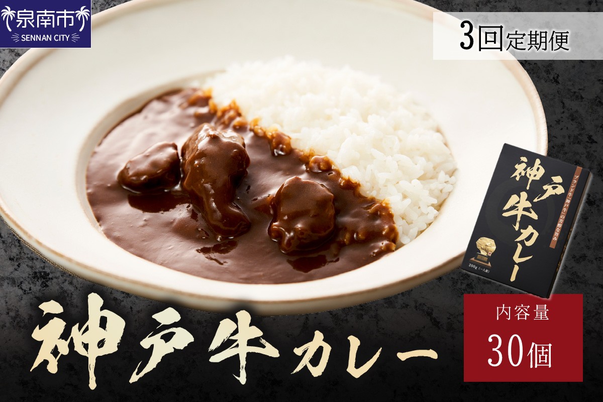 神戸牛カレー200g×30個セット 3ヶ月定期便【108A-006】
