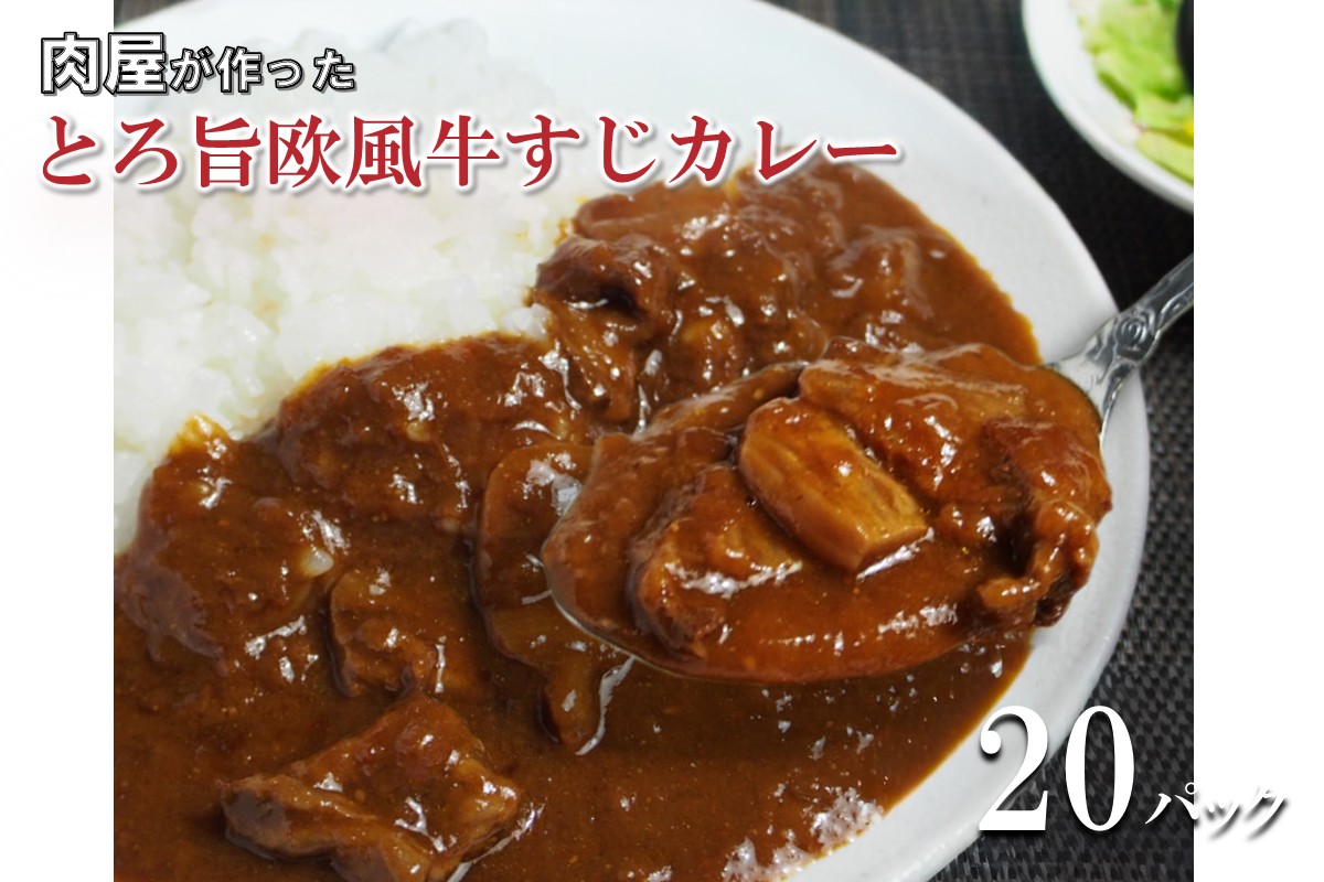 とろ旨欧風牛すじカレー（200g×20パック）【配送不可地域：北海道・沖縄】【069C-001】