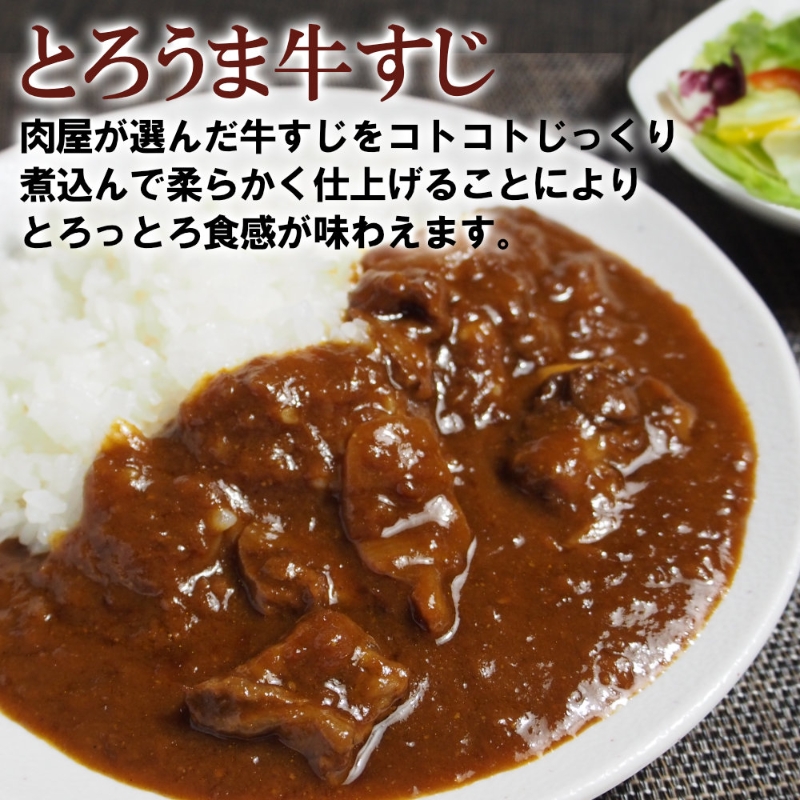 とろ旨欧風牛すじカレー（200g×20パック）【配送不可地域：北海道・沖縄】【069C-001】