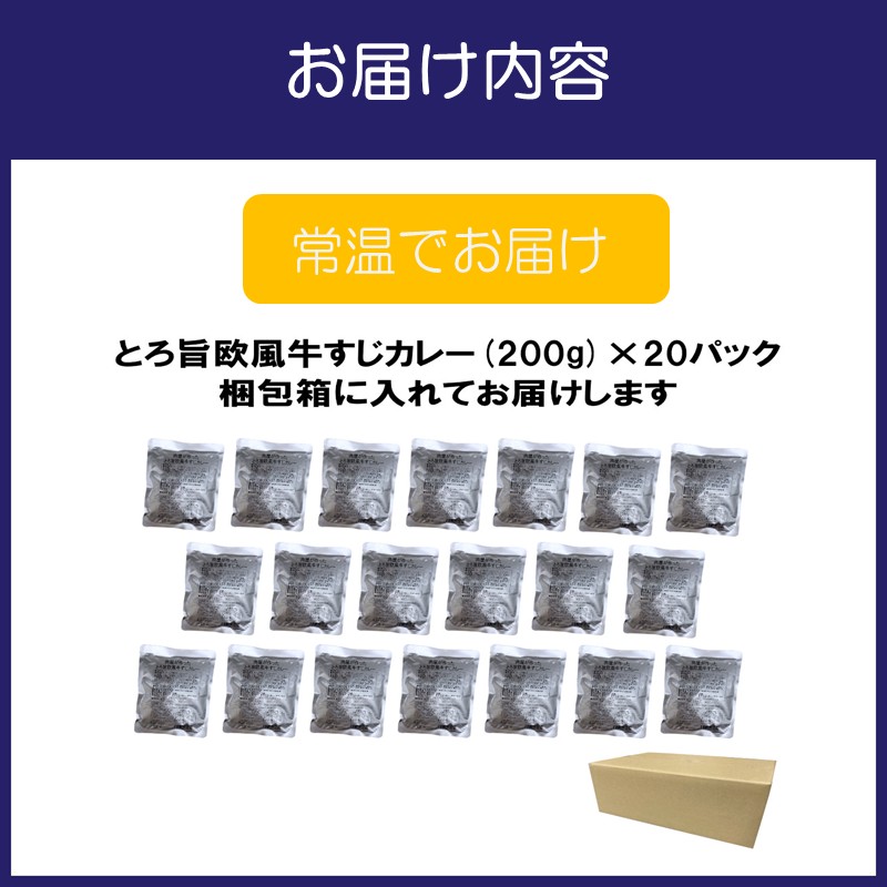 とろ旨欧風牛すじカレー（200g×20パック）【配送不可地域：北海道・沖縄】【069C-001】