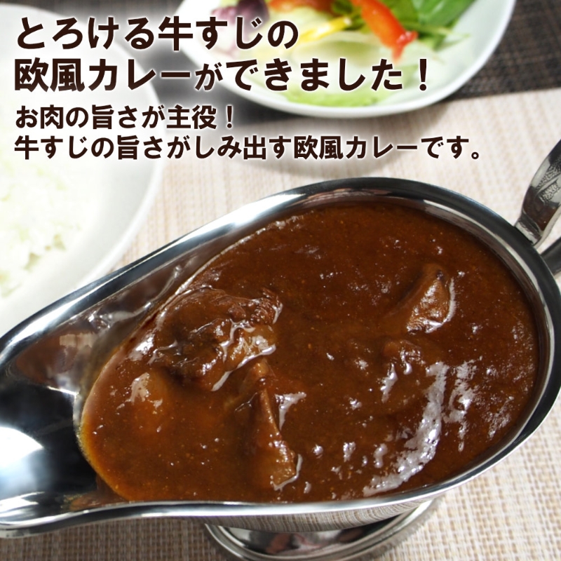 とろ旨欧風牛すじカレー（200g×12パック）【配送不可地域：北海道・沖縄】【069D-013】