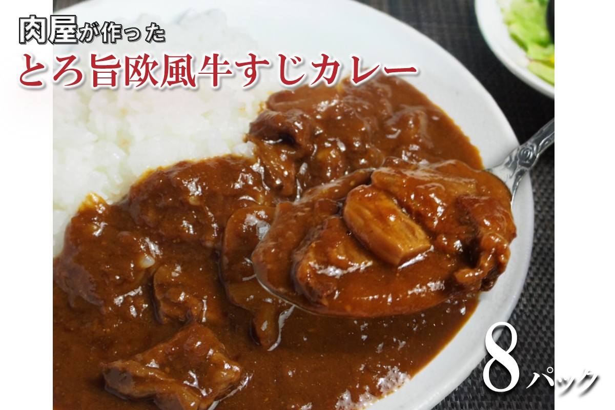 とろ旨欧風牛すじカレー（200g×8パック）【配送不可地域：北海道・沖縄】【069D-011】