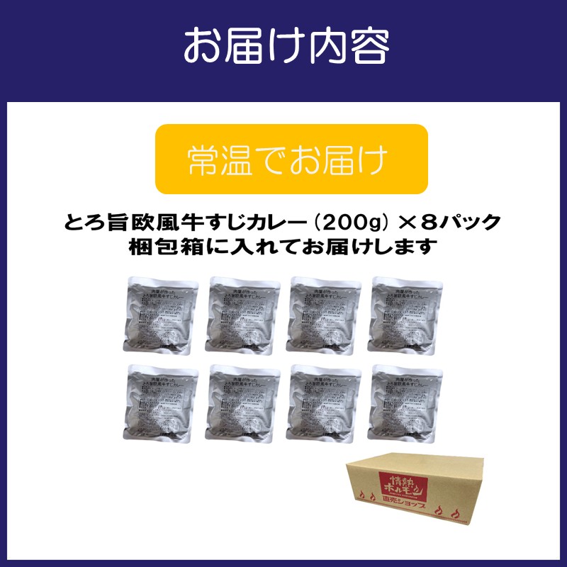 とろ旨欧風牛すじカレー（200g×8パック）【配送不可地域：北海道・沖縄】【069D-011】