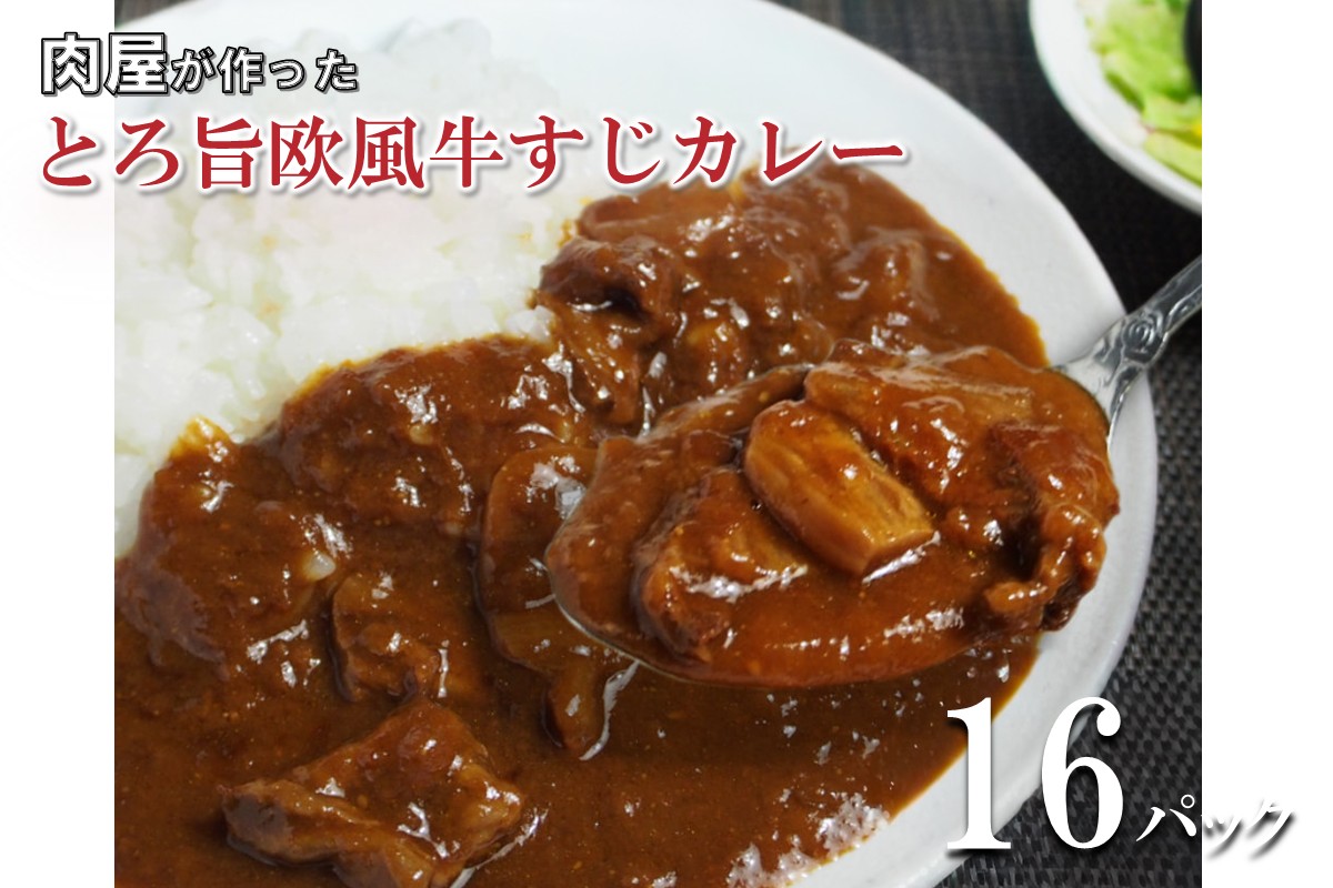 とろ旨欧風牛すじカレー（200g×16パック）【配送不可地域：北海道・沖縄】【069D-014】