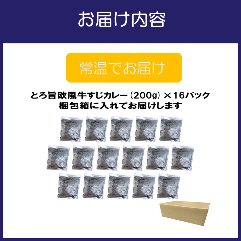 とろ旨欧風牛すじカレー（200g×16パック）【配送不可地域：北海道・沖縄】【069D-014】