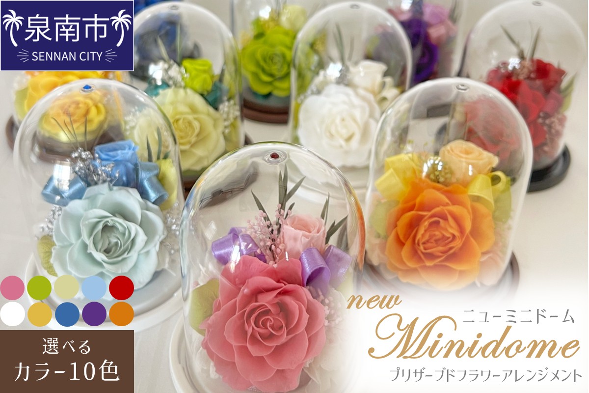 ニューミニドーム プリザーブドフラワー アレンジメント【023D-015】