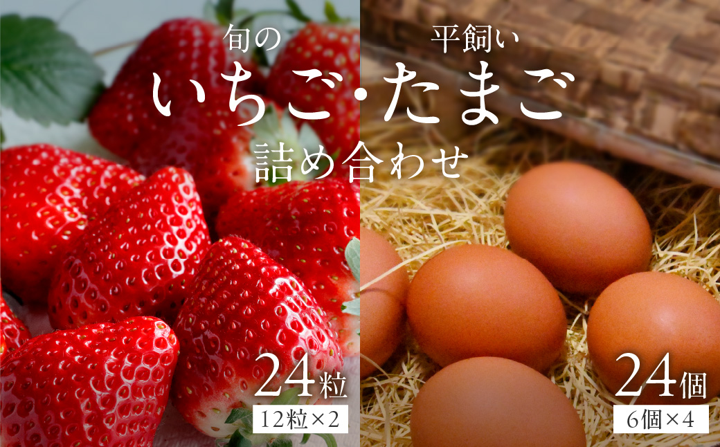 【2026年12月下旬～2027年5月発送予定】泉南市産 旬のいちごと平飼いたまごの詰め合わせ【配送不可地域：北海道・沖縄・離島】【015D-026-2027】