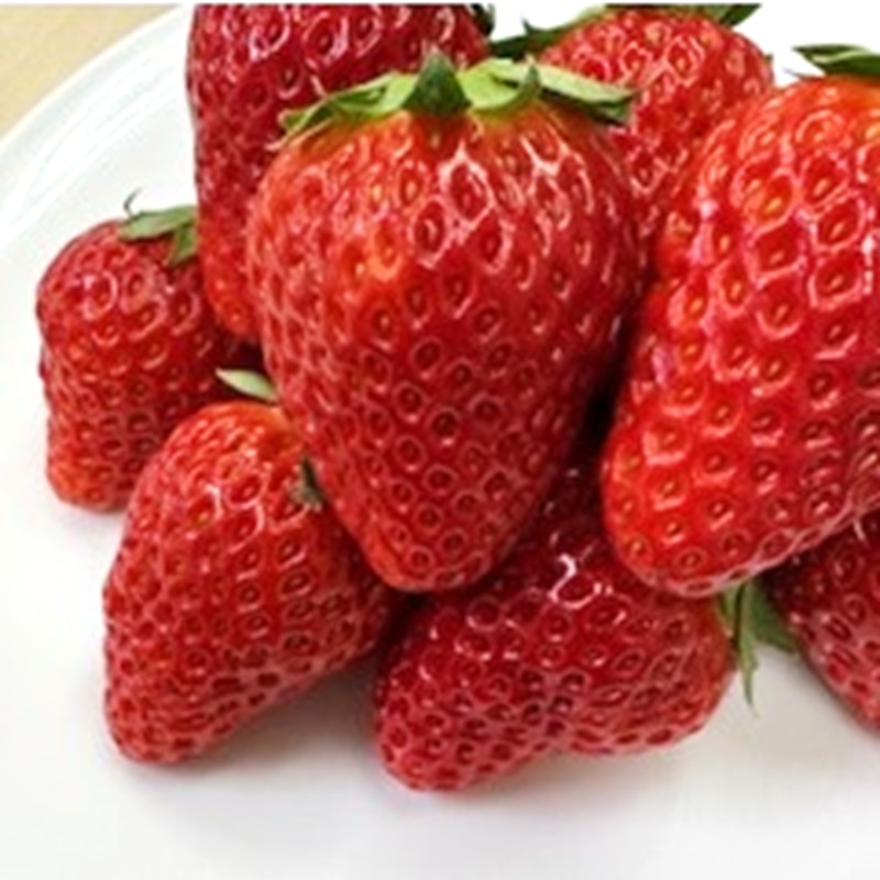 ã2026幎12æäžæ¬ïœ2027幎5æçºéäºå®ãæ³ååžç£ãæ¬ã®ãã¡ãã»å¹³é£ŒãããŸãã»æ¬éè5åã»ãããé
éäžå¯å°åïŒåæµ·éã»æ²çžã»é¢å³¶ãã015D-027-2027ã