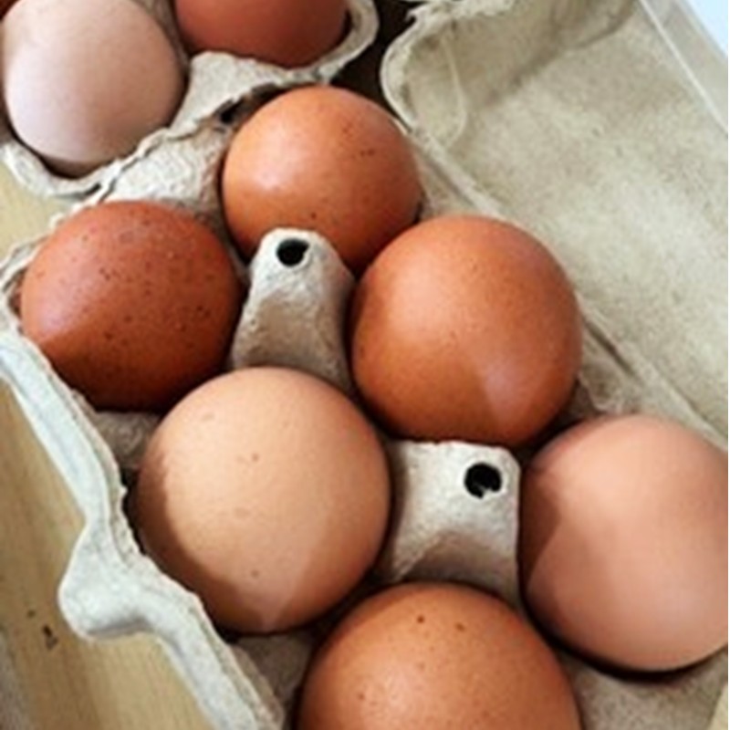 ã2026幎12æäžæ¬ïœ2027幎5æçºéäºå®ãæ³ååžç£ãæ¬ã®ãã¡ãã»å¹³é£ŒãããŸãã»æ¬éè5åã»ãããé
éäžå¯å°åïŒåæµ·éã»æ²çžã»é¢å³¶ãã015D-027-2027ã