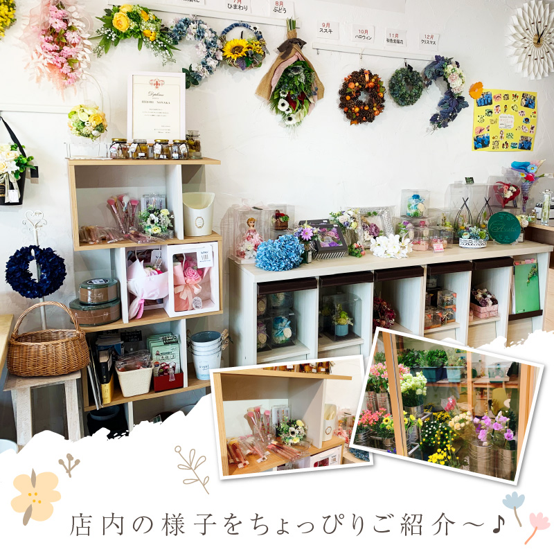 ひまわりリース【072D-124】