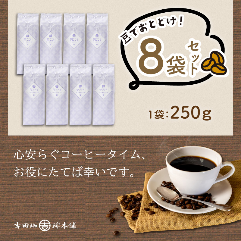 ãåç°çç²æ¬èãç¬ããããã¬ã³ã 250gÃ8è¢ïŒè±ã010D-121ã