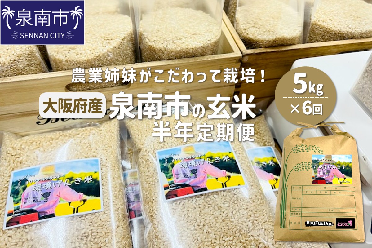 農業姉妹がこだわって栽培！大阪府産 泉南市の玄米5kg 半年定期便【024A-026】