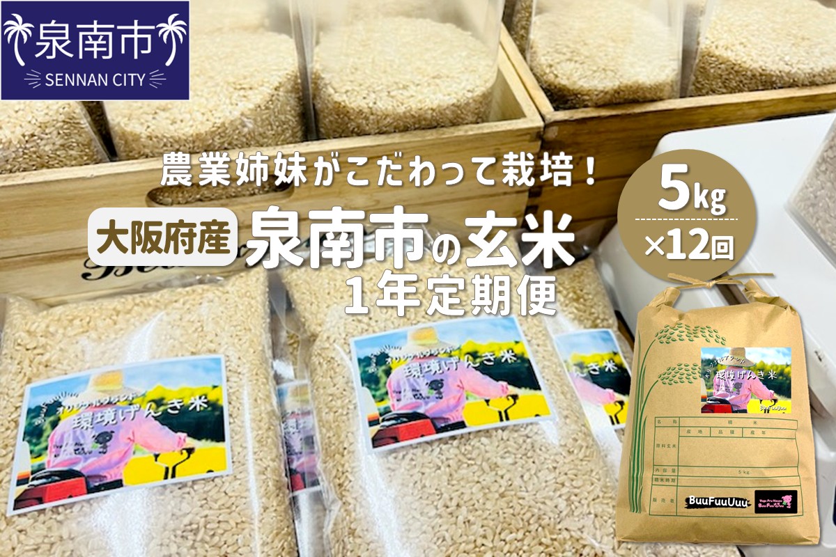 農業姉妹がこだわって栽培！大阪府産 泉南市の玄米5kg 1年定期便【024A-027】
