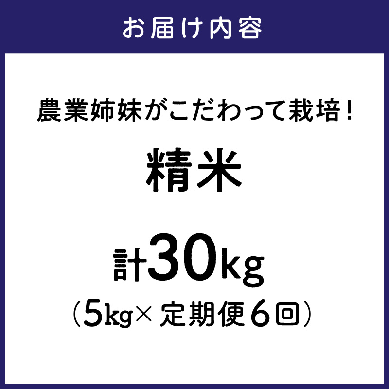 農業姉妹がこだわって栽培！ 大阪府産 泉南市のお米 白米5kg 半年定期便【024A-024】