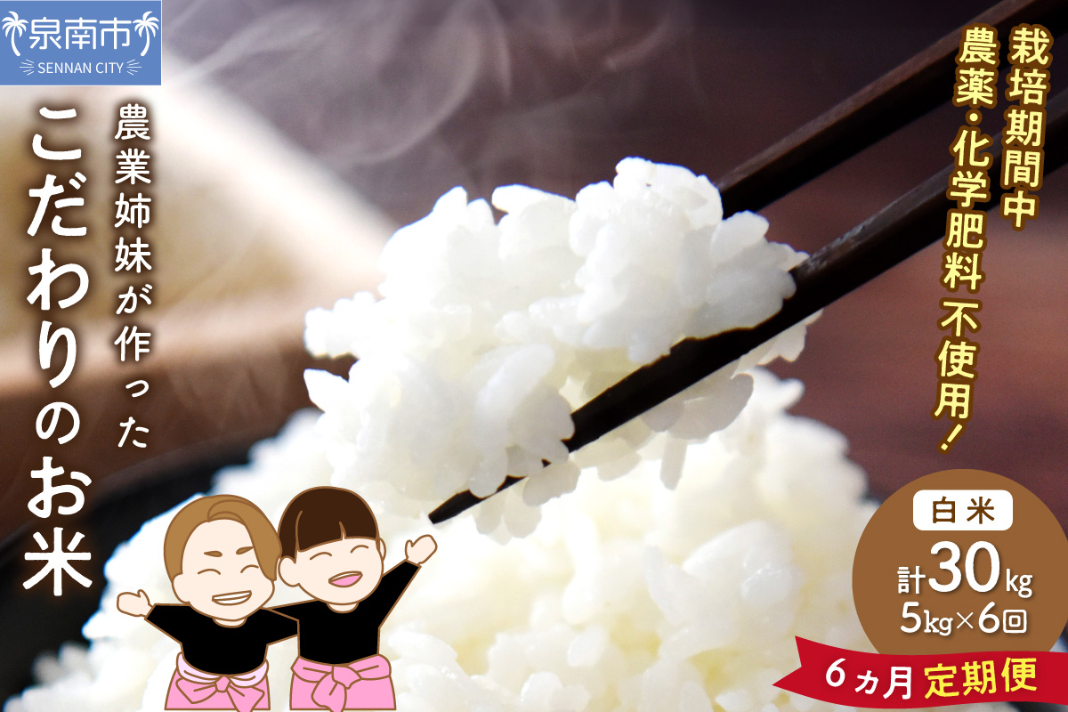 農業姉妹がこだわって栽培！こだわりのお米 白米5kg半年定期便【024B-005】