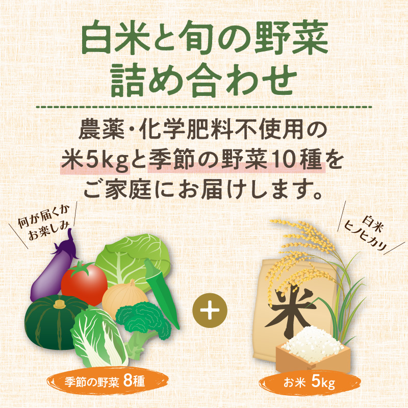 農業姉妹がこだわって栽培！白米5kgと旬の厳選野菜10種【024C-001】
