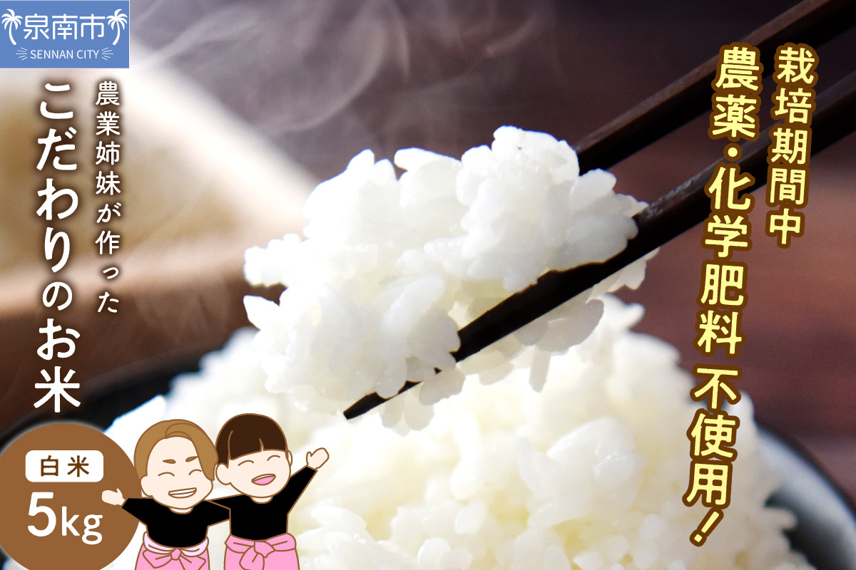 農業姉妹がこだわって栽培！こだわりのお米 白米5kg【024D-005】