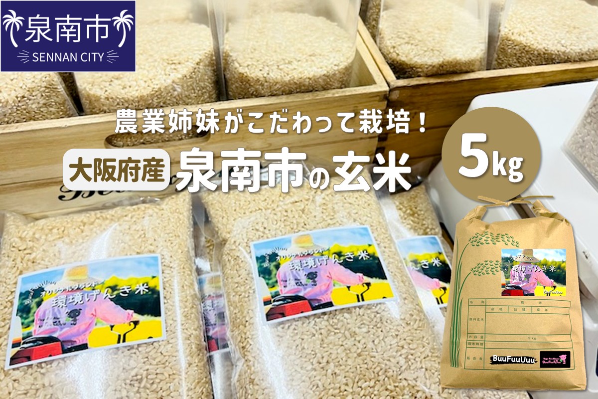 農業姉妹がこだわって栽培！大阪府産 泉南市の玄米 5kg【024D-007】