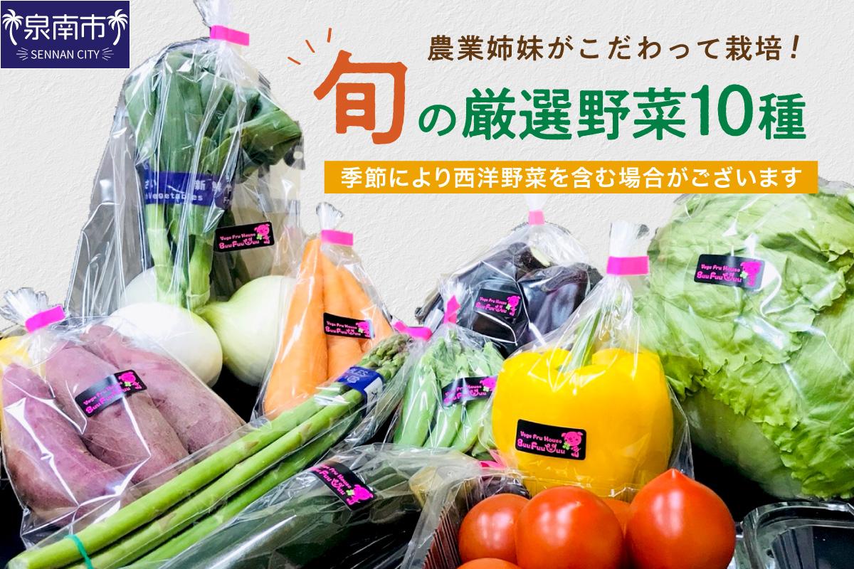 農業姉妹がこだわって栽培！旬の厳選野菜10種【024D-012】